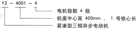 YR系列(H355-1000)高压YKS5007-6/800KW三相异步电机西安西玛电机型号说明